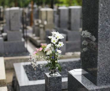 kwiaty na cmentarzu