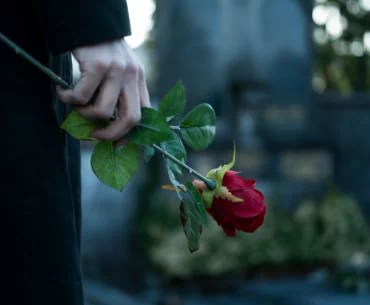 człowiek trzymający czerwoną różę