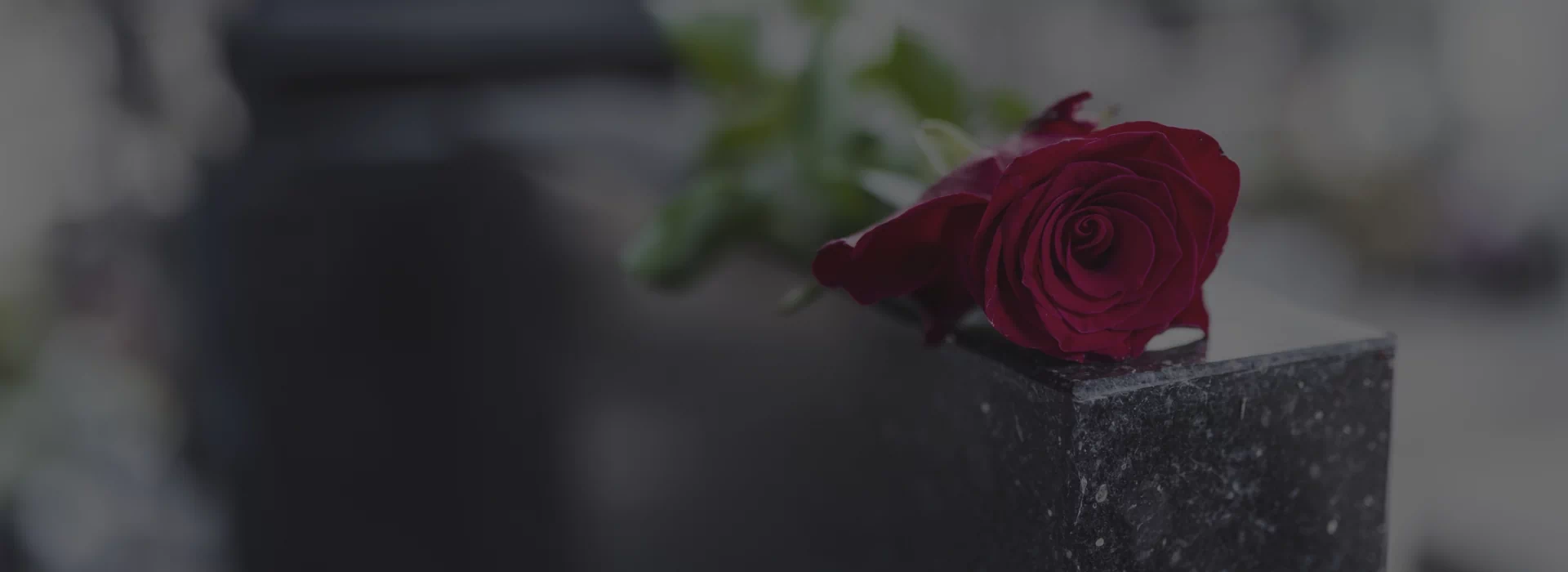 Slajd 3 - czerwona róża na grobie